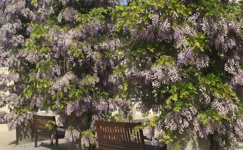 Erhvervsrengøring Ballerup: En Uundgåelig Faktor for Lokale Virksomheder